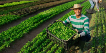 Sucessão no campo e o desafio da nova geração: o futuro das cooperativas agro em jogo 8 Sucessão no campo e o desafio da nova geração: o futuro das cooperativas agro em jogo