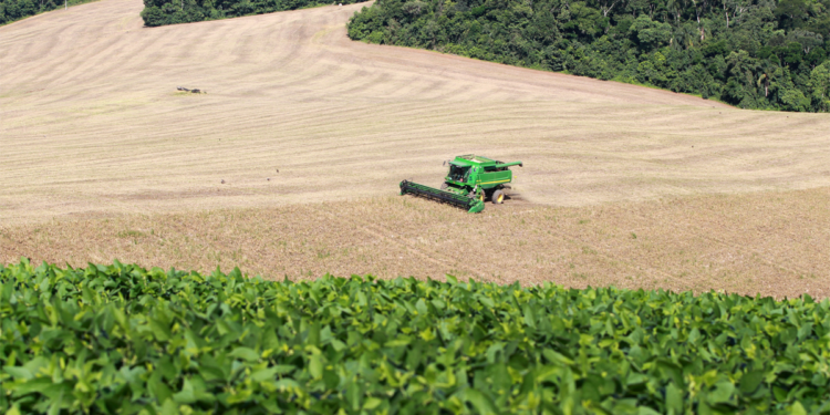 Governo estuda criação de fundo garantidor para destravar crédito rural 1 Governo estuda criação de fundo garantidor para destravar crédito rural