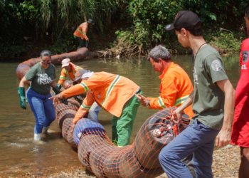 Assembleia Legistlativa de Goiás instala Frente Parlamentar de Fomento ao Cooperativismo