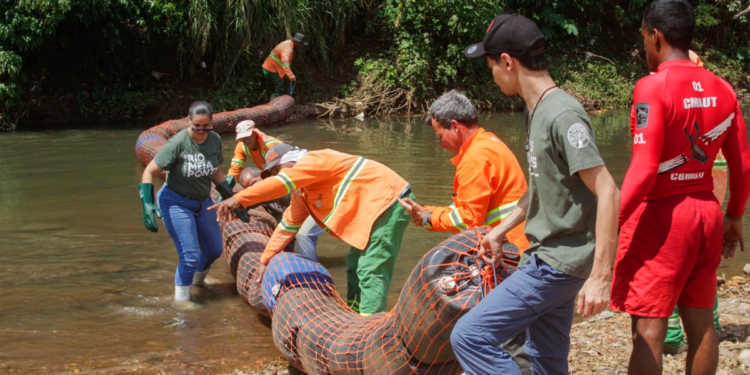 Assembleia Legistlativa de Goiás instala Frente Parlamentar de Fomento ao Cooperativismo