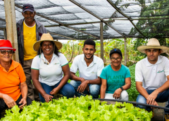 Duas iniciativas do semiárido baiano serão destaque na COP-30