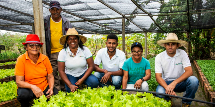 Duas iniciativas do semiárido baiano serão destaque na COP-30