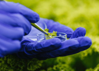 Setor de bioinsumo cresceu quatro vezes desde 2020 4 Setor de bioinsumo cresceu quatro vezes desde 2020