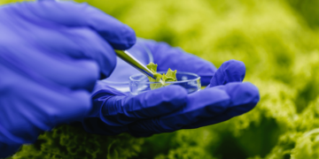 Setor de bioinsumo cresceu quatro vezes desde 2020 12 Setor de bioinsumo cresceu quatro vezes desde 2020