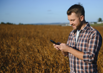 Chatbots ganham força no cooperativismo com soluções para aproximar cooperados