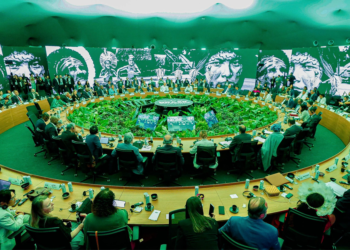 Cooperativas brasileiras iniciam participação na COP30