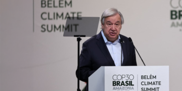 Cooperativas abrem a agenda da COP30 com crédito verde, bioeconomia e mercados sustentáveis