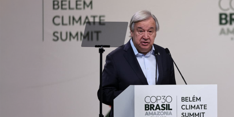 Cooperativas abrem a agenda da COP30 com crédito verde, bioeconomia e mercados sustentáveis