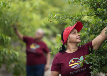 Expansão do crédito cooperativo amplia oportunidades para mais de 368 mil cooperados na Bahia
