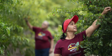 Cooperativismo baiano acelera com 422,9 mil cooperados e projeta novo ciclo de crescimento
