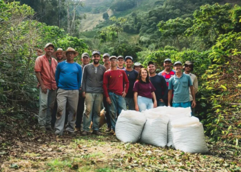 Cooperativismo brasileiro é destaque em prêmios nacionais e internacionais de sustentabilidade 2 Cooperativismo brasileiro é destaque em prêmios nacionais e internacionais de sustentabilidade