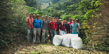 Cooperativismo brasileiro é destaque em prêmios nacionais e internacionais de sustentabilidade 10 Cooperativismo brasileiro é destaque em prêmios nacionais e internacionais de sustentabilidade
