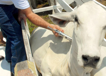 Ministério propõe ‘SUS’ da assistência técnica e da extensão rural 3 Ministério propõe ‘SUS’ da assistência técnica e da extensão rural