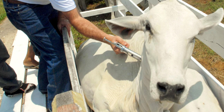 Ministério propõe ‘SUS’ da assistência técnica e da extensão rural 1 Ministério propõe ‘SUS’ da assistência técnica e da extensão rural