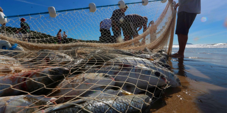 Santa Catarina estrutura programa para cooperativas com R$ 1 bilhão em crédito