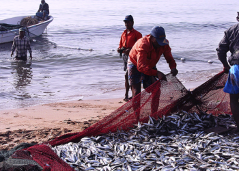 Iniciativa prepara cooperativas amazônicas para mercados da sociobiodiversidade 2 Iniciativa prepara cooperativas amazônicas para mercados da sociobiodiversidade