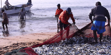 Iniciativa prepara cooperativas amazônicas para mercados da sociobiodiversidade 8 Iniciativa prepara cooperativas amazônicas para mercados da sociobiodiversidade