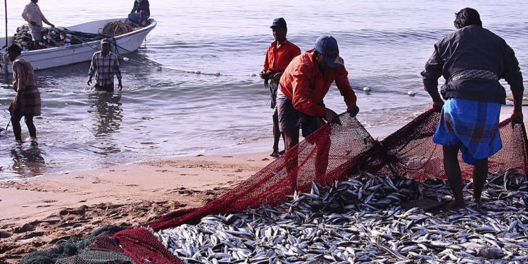 Iniciativa prepara cooperativas amazônicas para mercados da sociobiodiversidade 1 Iniciativa prepara cooperativas amazônicas para mercados da sociobiodiversidade