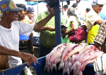 Iniciativa prepara cooperativas amazônicas para mercados da sociobiodiversidade 2 Iniciativa prepara cooperativas amazônicas para mercados da sociobiodiversidade