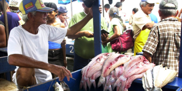 Iniciativa prepara cooperativas amazônicas para mercados da sociobiodiversidade 8 Iniciativa prepara cooperativas amazônicas para mercados da sociobiodiversidade