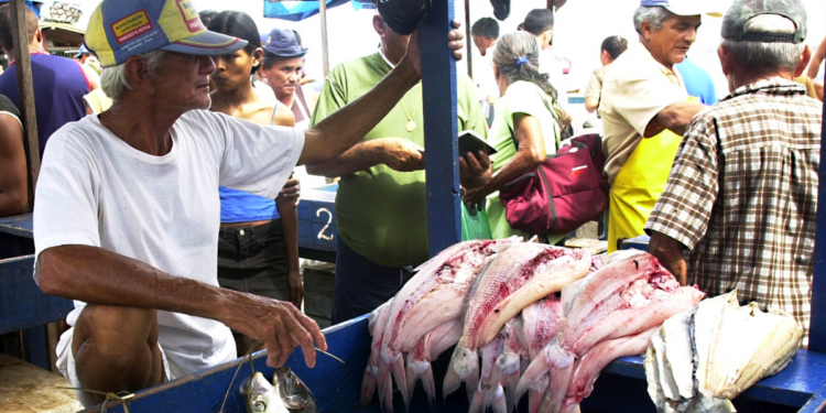 Iniciativa prepara cooperativas amazônicas para mercados da sociobiodiversidade