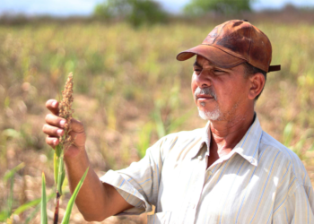 Produtores defendem crédito emergencial para suprir falta de seguro rural