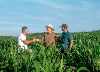 Cooperativa de crédito financia R$ 2,7 bilhões no Plano Safra 2024/2025 em SC 2 Cooperativa de crédito financia R$ 2,7 bilhões no Plano Safra 2024/2025 em SC