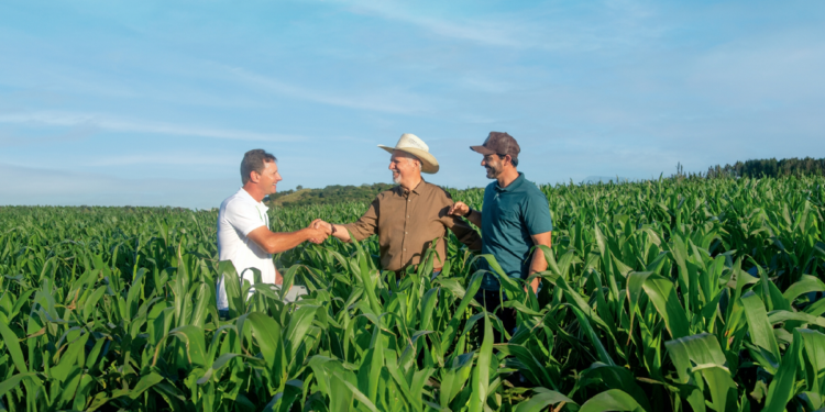 Cooperativa de crédito financia R$ 2,7 bilhões no Plano Safra 2024/2025 em SC