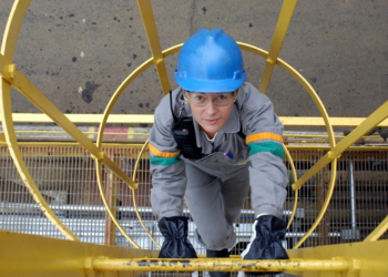 Cooperativa de crédito destaca mulheres e energia limpa entre pautas da COP30