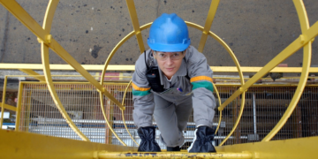 Cooperativa de crédito destaca mulheres e energia limpa entre pautas da COP30