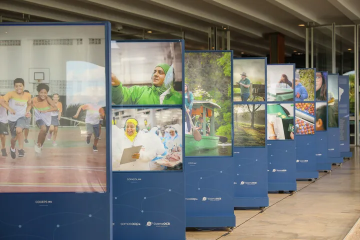 Cooperativismo ganha mapa global e livro para preservar história do setor como patrimônio cultural 5 dia12 121 rc2 1482 45774