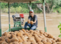 Iniciativa prepara cooperativas amazônicas para mercados da sociobiodiversidade