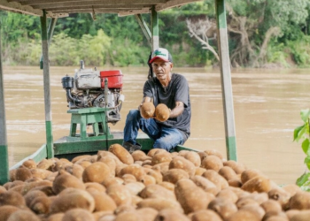 Iniciativa prepara cooperativas amazônicas para mercados da sociobiodiversidade 3 Iniciativa prepara cooperativas amazônicas para mercados da sociobiodiversidade