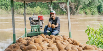 Iniciativa prepara cooperativas amazônicas para mercados da sociobiodiversidade