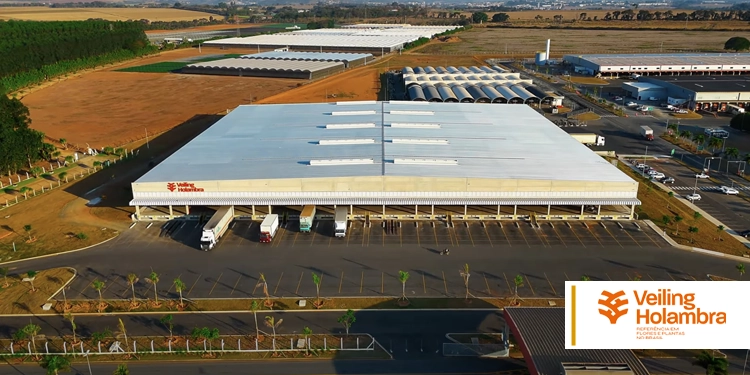 Inovação e cooperativismo: novo prédio na Veiling Holambra 1 Inovação e cooperativismo: novo prédio na Veiling Holambra