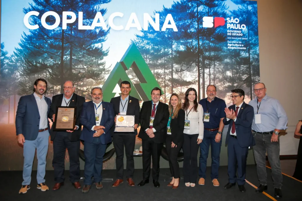 17408 244453 20251204181031 copiar