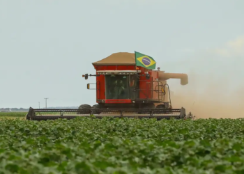 Seguro Rural cresce 56,8% em três anos em São Paulo