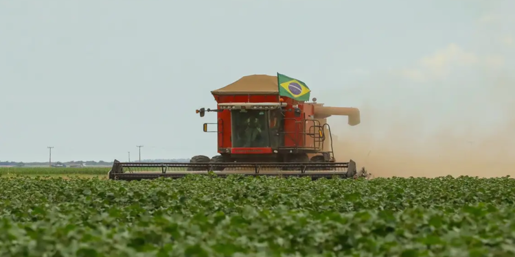 Seguro Rural cresce 56,8% em três anos em São Paulo 1 Seguro Rural cresce 56,8% em três anos em São Paulo