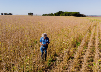 BRDE injeta R$ 133,4 milhões no desenvolvimento e sustentabilidade no campo em 2025