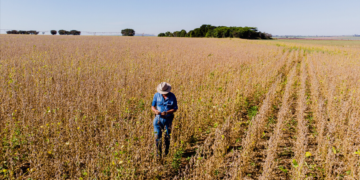 BRDE injeta R$ 133,4 milhões no desenvolvimento e sustentabilidade no campo em 2025