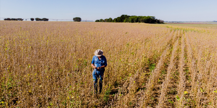 BRDE injeta R$ 133,4 milhões no desenvolvimento e sustentabilidade no campo em 2025