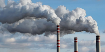 Cooperativas inovam e lideram a geração de créditos de carbono no Brasil 10 Cooperativas inovam e lideram a geração de créditos de carbono no Brasil