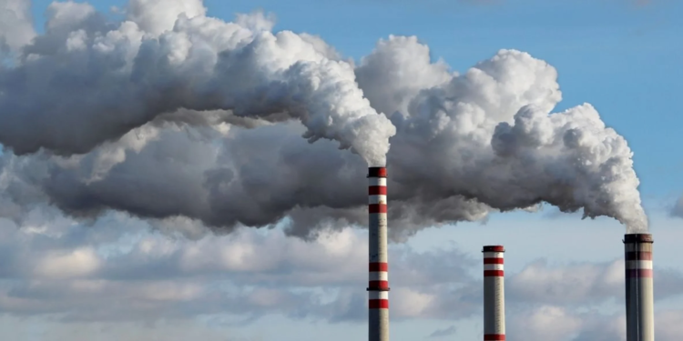 Cooperativas inovam e lideram a geração de créditos de carbono no Brasil 1 Cooperativas inovam e lideram a geração de créditos de carbono no Brasil