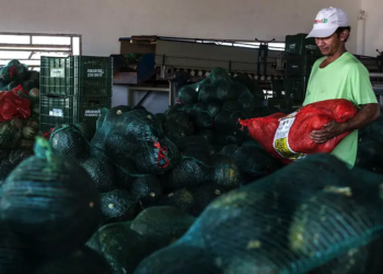 Sistema OCB/GO certifica cooperativas da agricultura familiar com selo de adequação legal