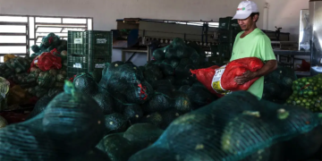 Sistema OCB/GO certifica cooperativas da agricultura familiar com selo de adequação legal