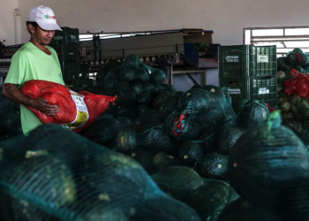 Sistema OCB/GO certifica cooperativas da agricultura familiar com selo de adequação legal