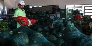 Sistema OCB/GO certifica cooperativas da agricultura familiar com selo de adequação legal