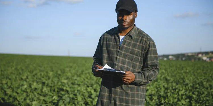 Senado avança com projeto que torna subvenção do seguro rural obrigatória no orçamento 1 Senado avança com projeto que torna subvenção do seguro rural obrigatória no orçamento