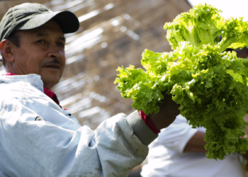 Exporta Mais Cooperativas da ApexBrasil registra R$ 38,9 milhões em expectativas de negócios