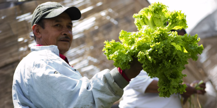 Cooperativas geram R$ 38,9 milhões em negócios internacionais em evento da ApexBrasil 1 Exporta Mais Cooperativas da ApexBrasil registra R$ 38,9 milhões em expectativas de negócios